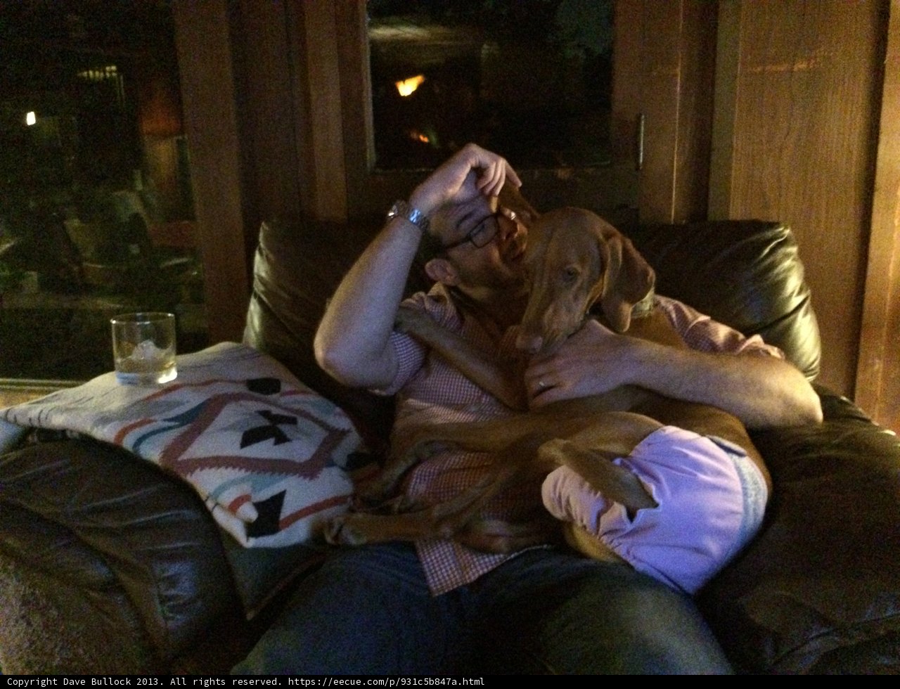 Couch Companion