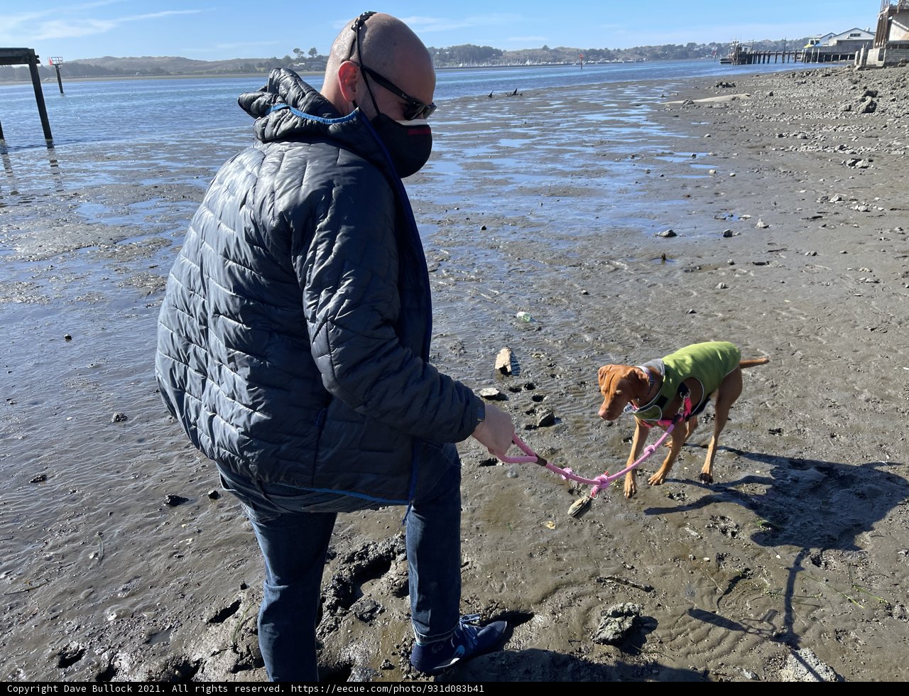 Walking by the Shore