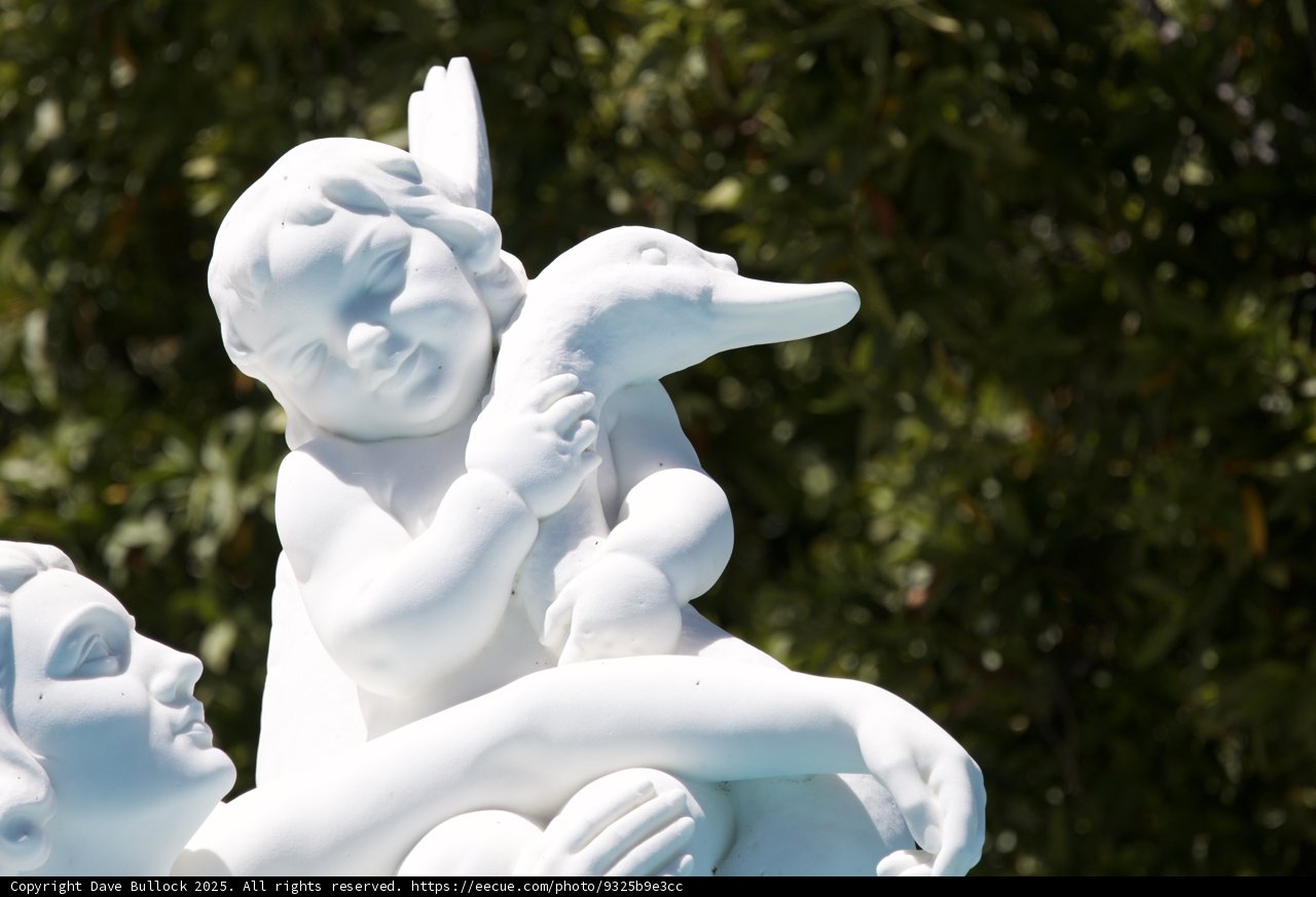 Eternal Innocence