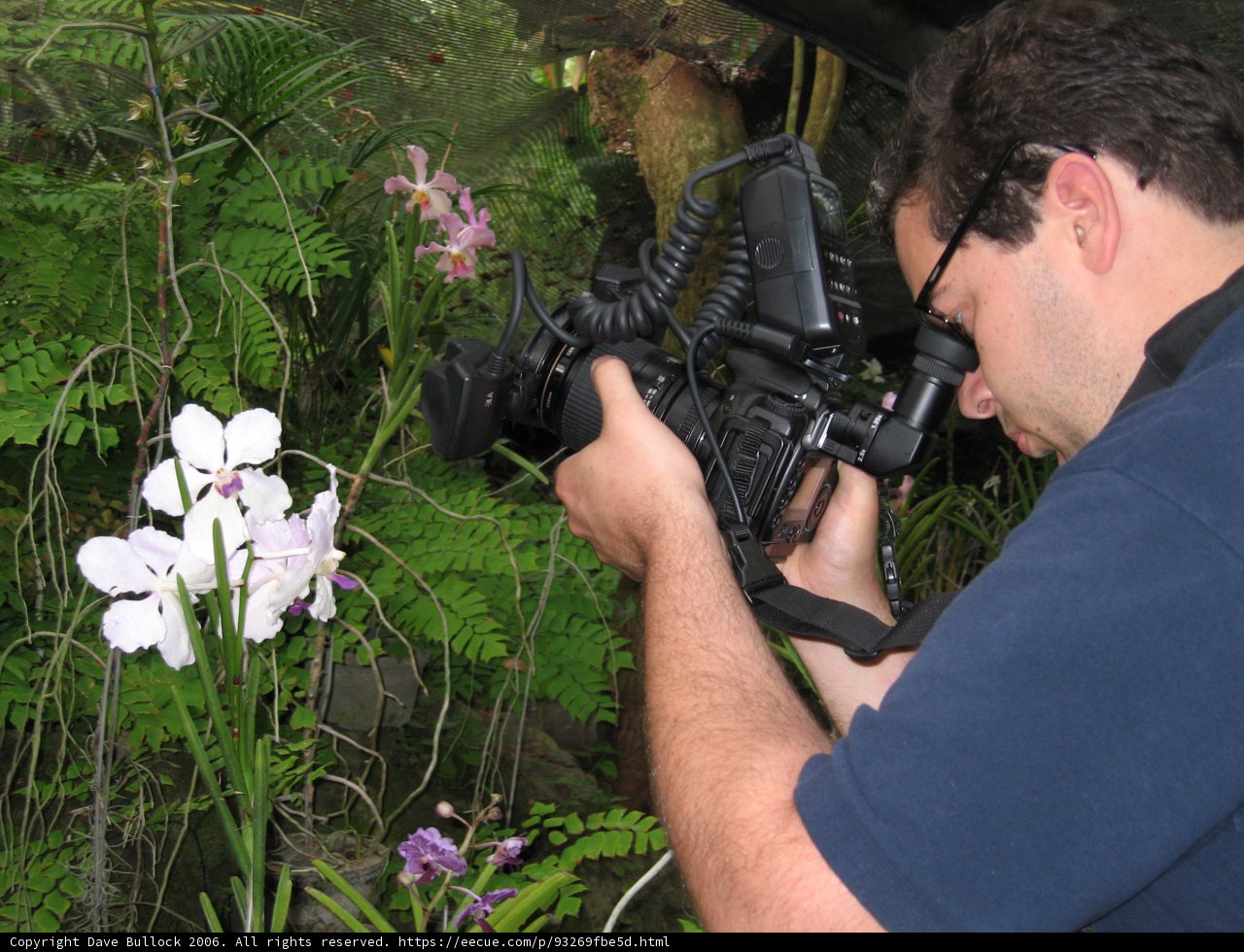 Capturing Nature's Beauty