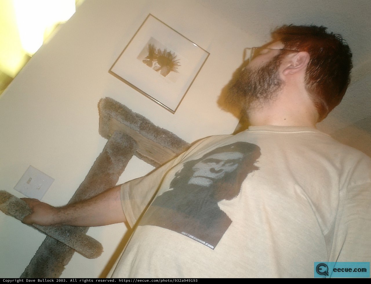 Gorilla Man