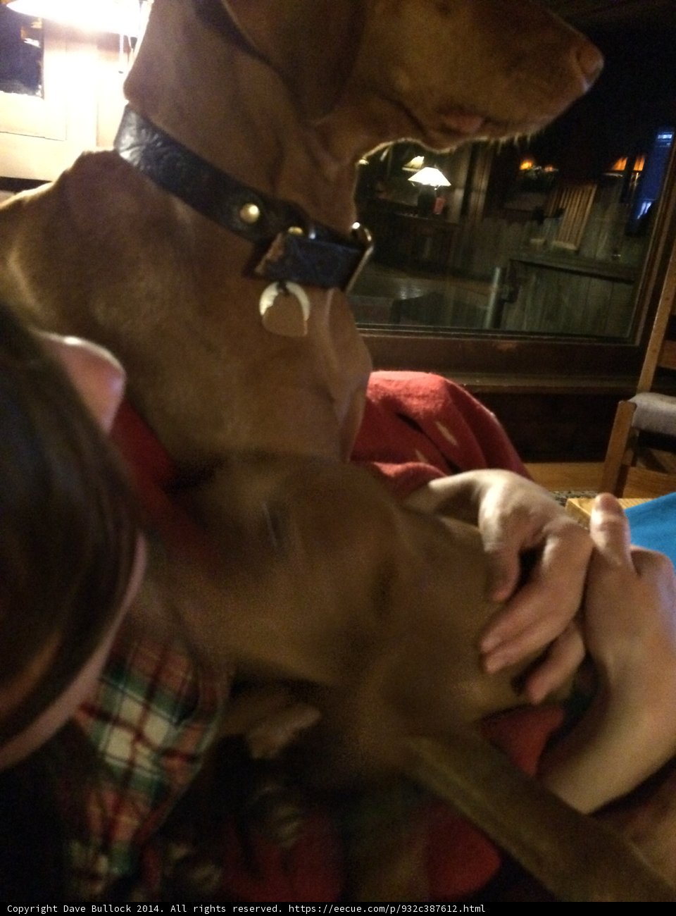 A Woman and Her Hound