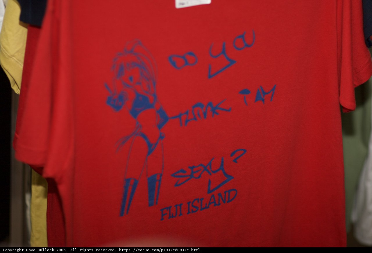Boldly Stated T-Shirt