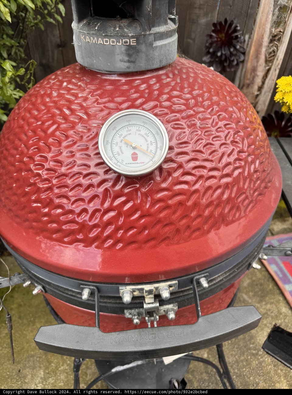 Precision Grilling with Kamado Joe