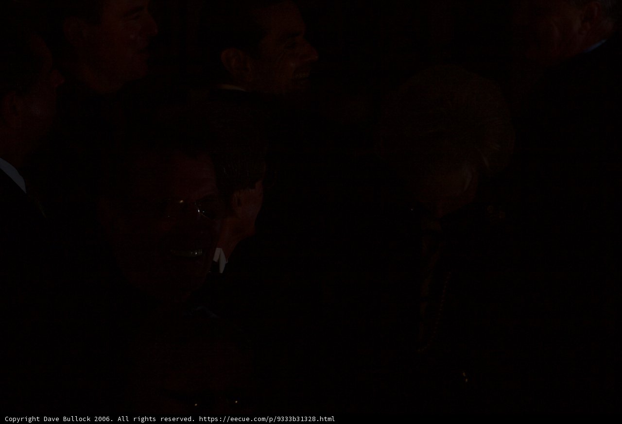 The Vigilant Cinemagoers