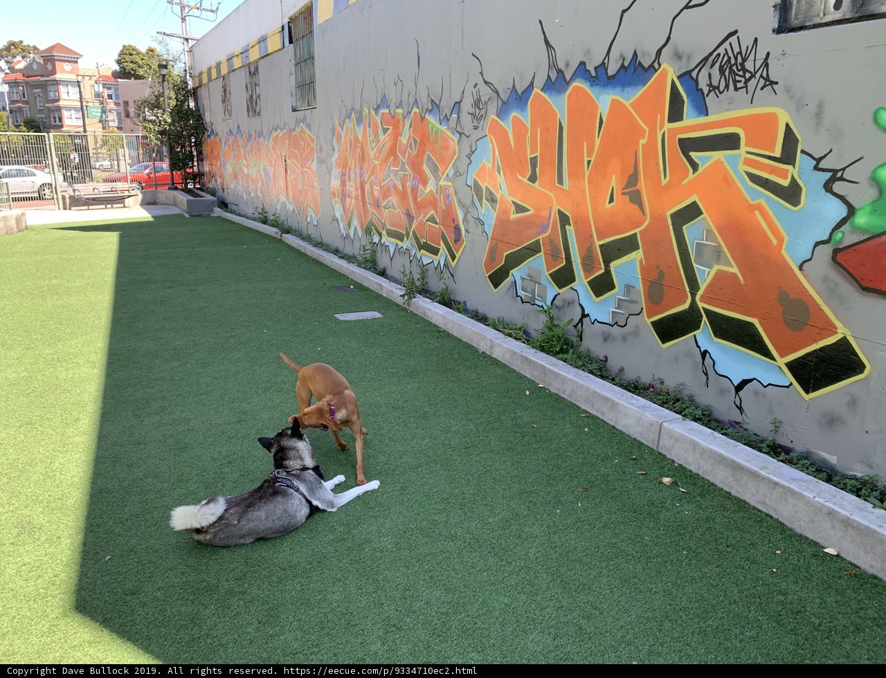 Playtime in the Park