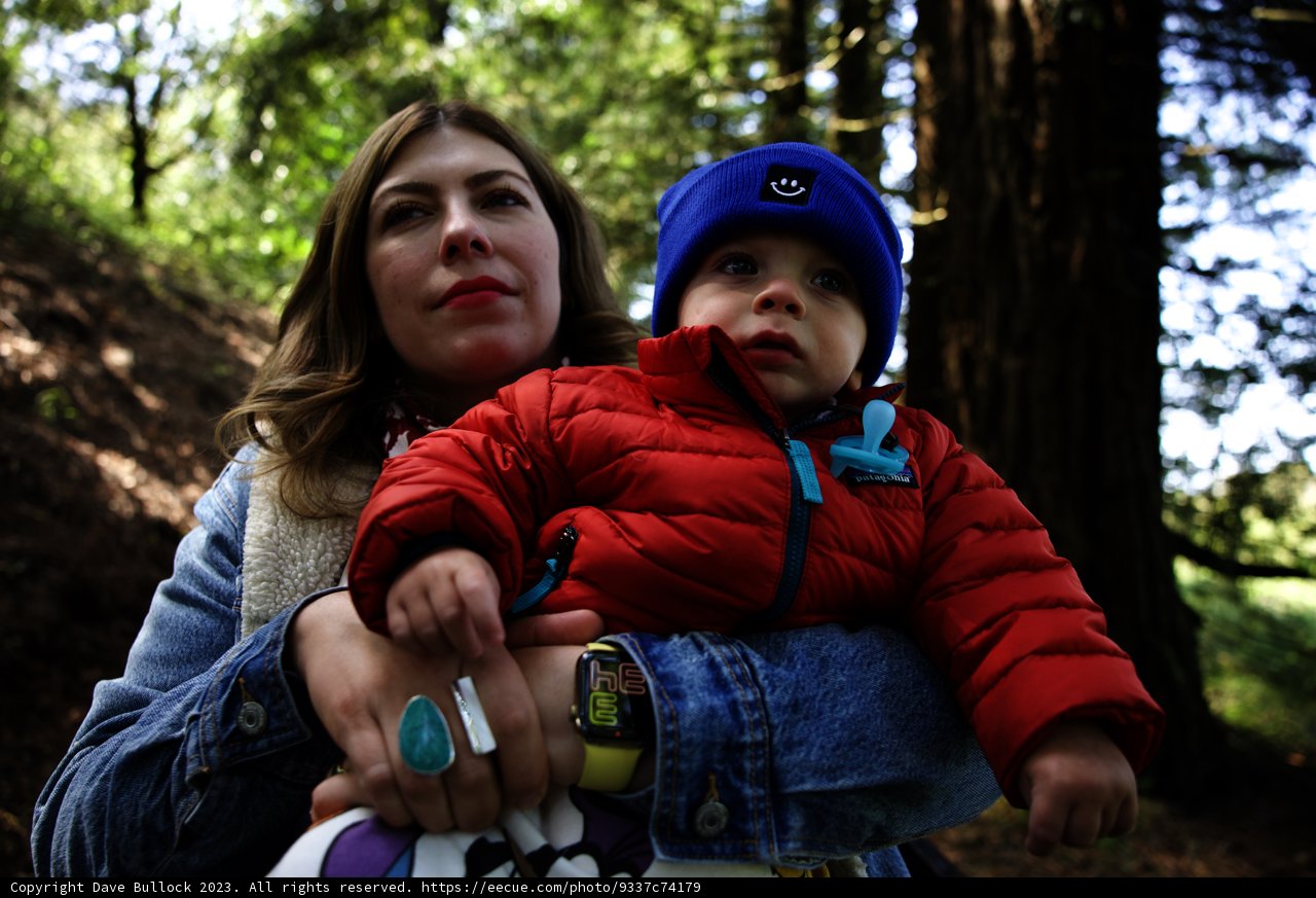 Motherhood in Nature