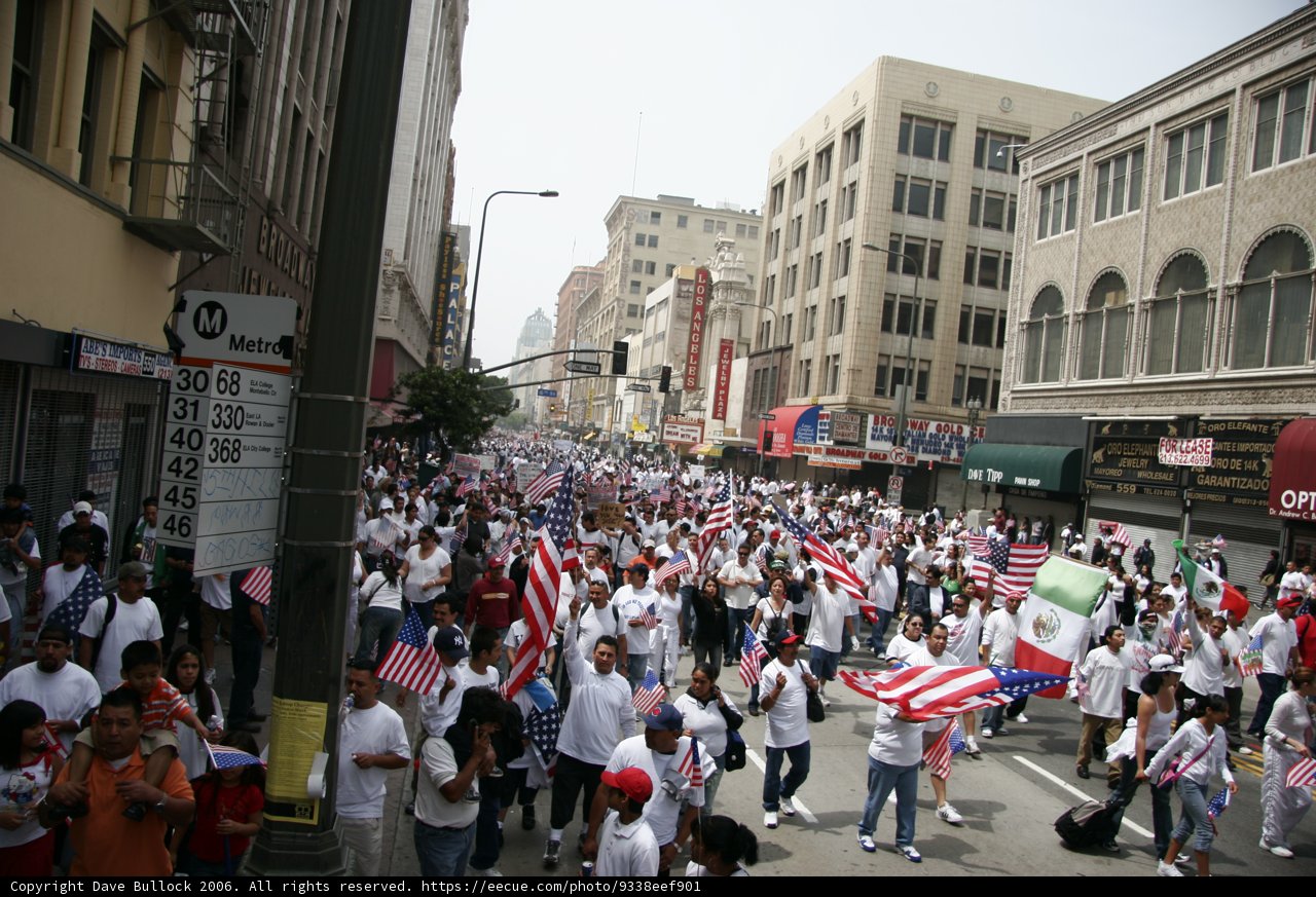 A Vibrant Parade Through the Metropolis