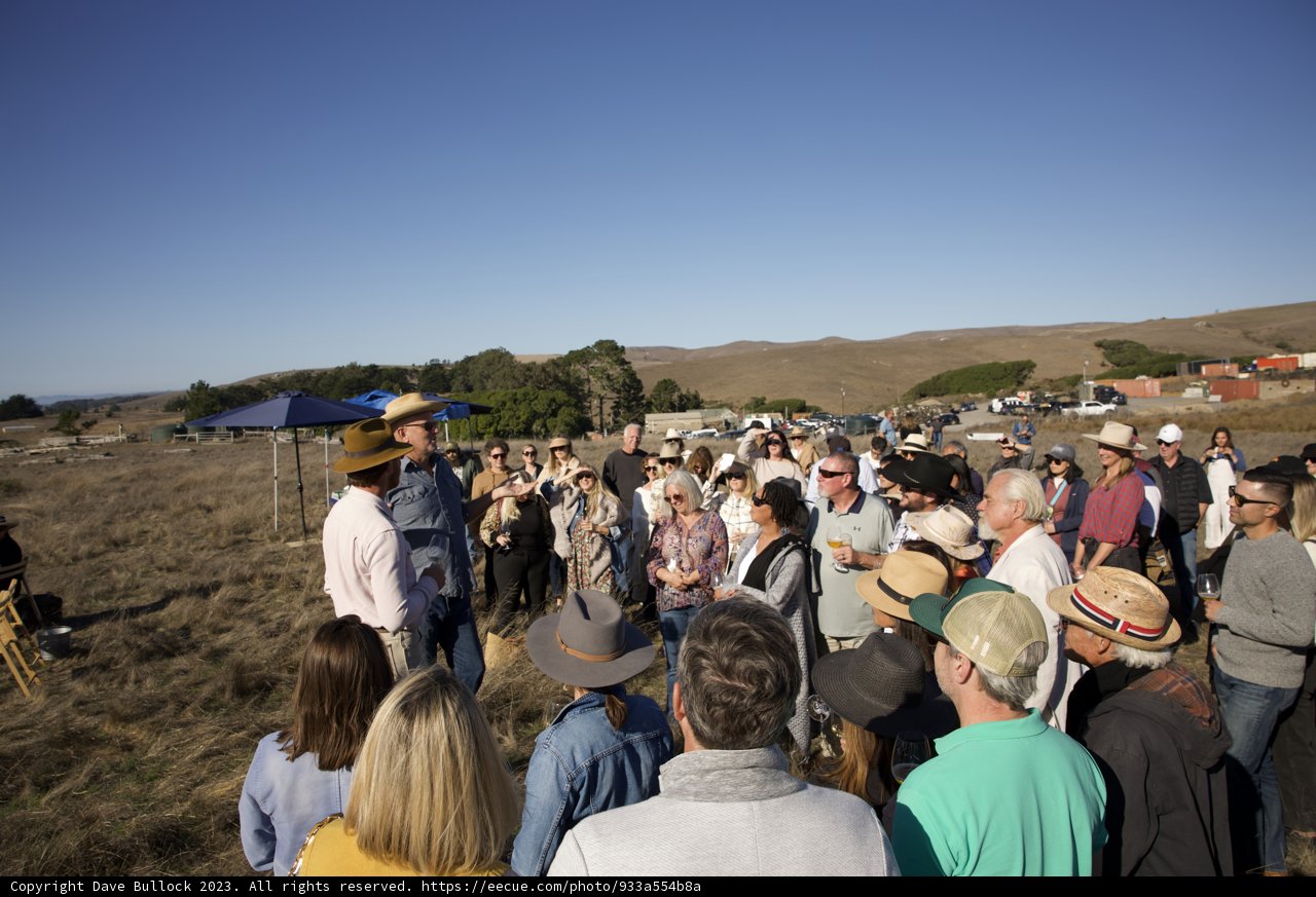 A Vibrant Day at Hog Island Oyster Co.