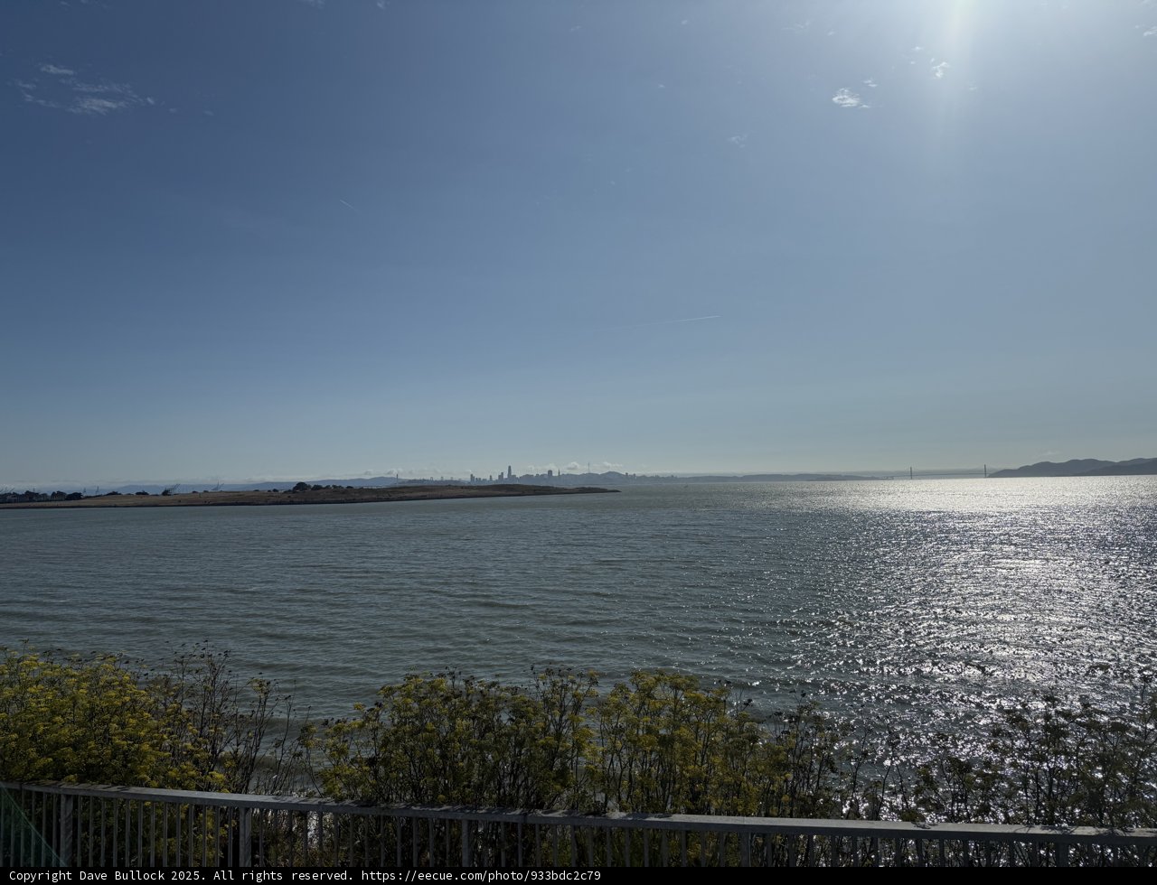 Tranquil Waters of Berkeley
