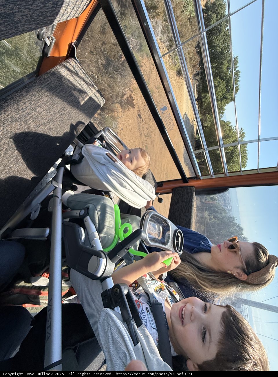 Sunlit Adventure at the Oakland Zoo