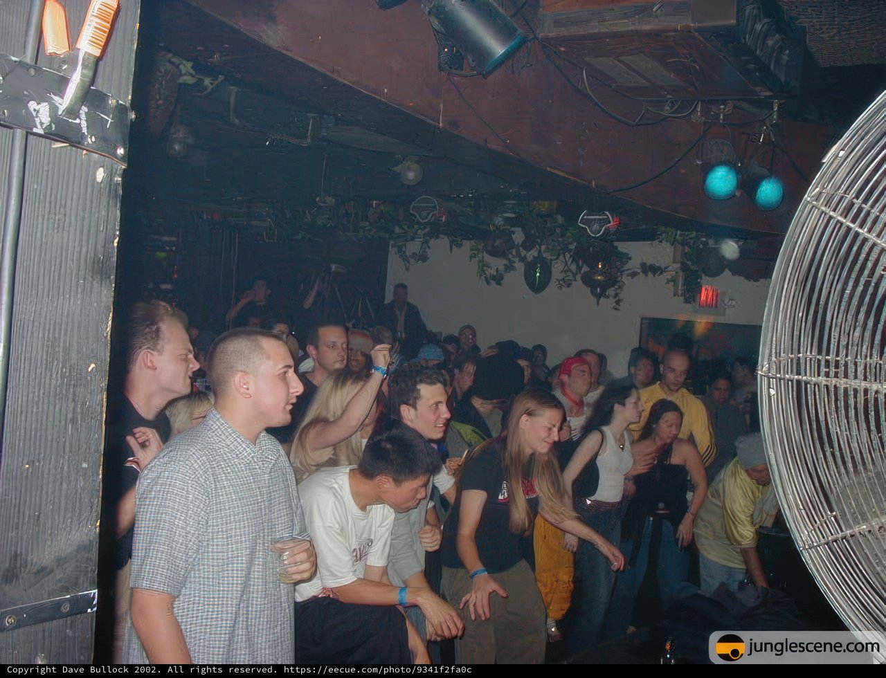 Nightlife Madness
