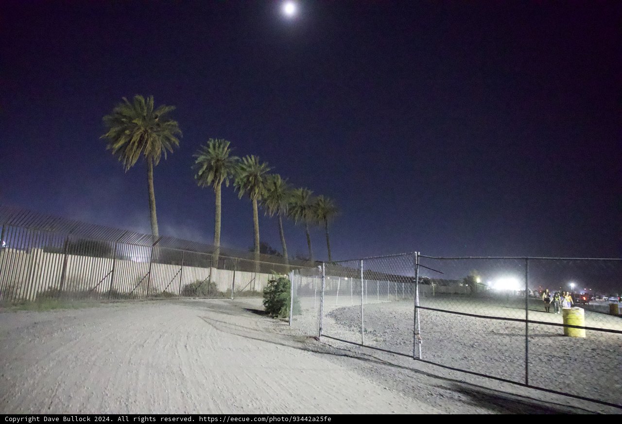 Moonlit Palms at Coachella