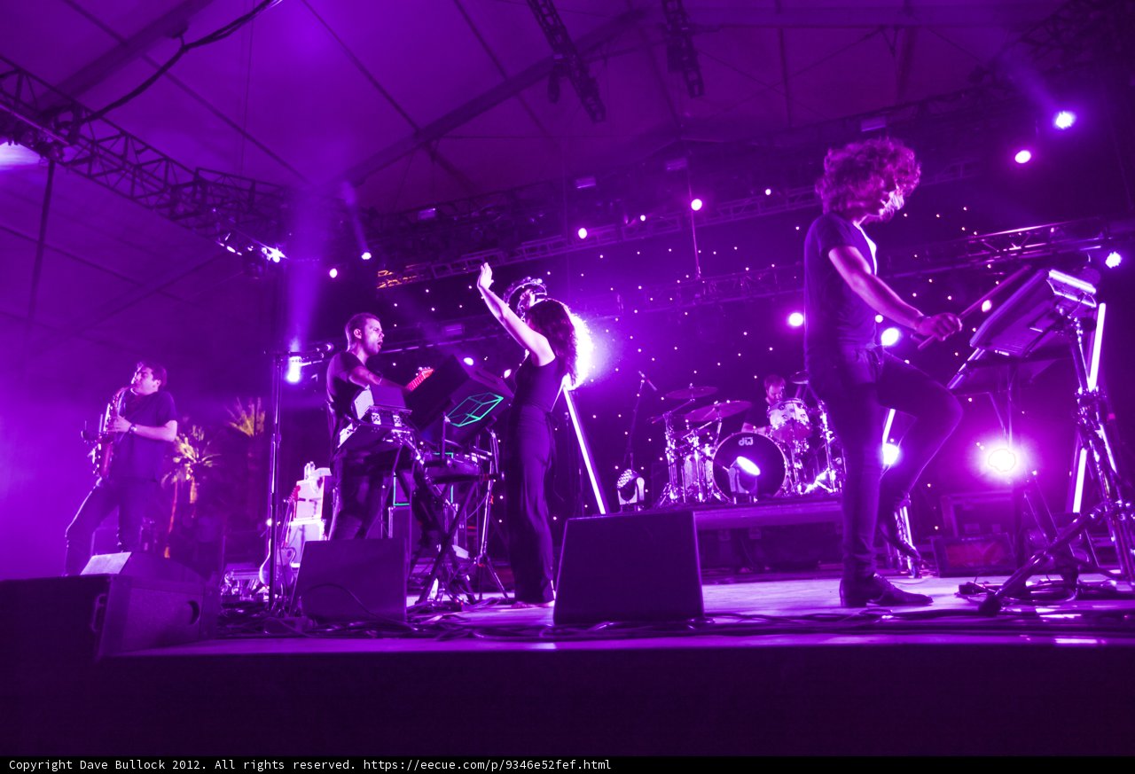 Rocking Out Under the Purple Haze