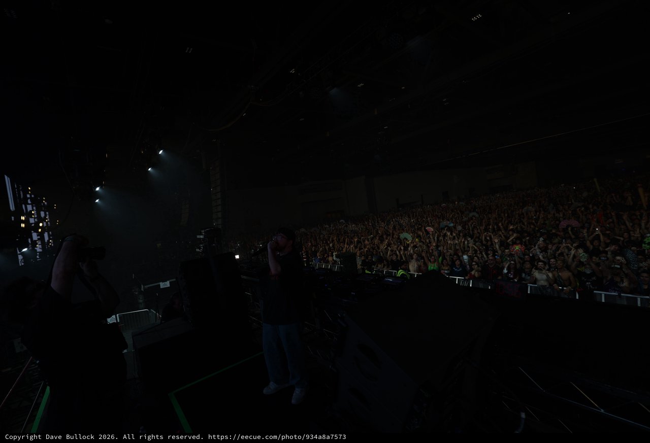 DJ Performs to Massive Crowd at Wobbleland Festival