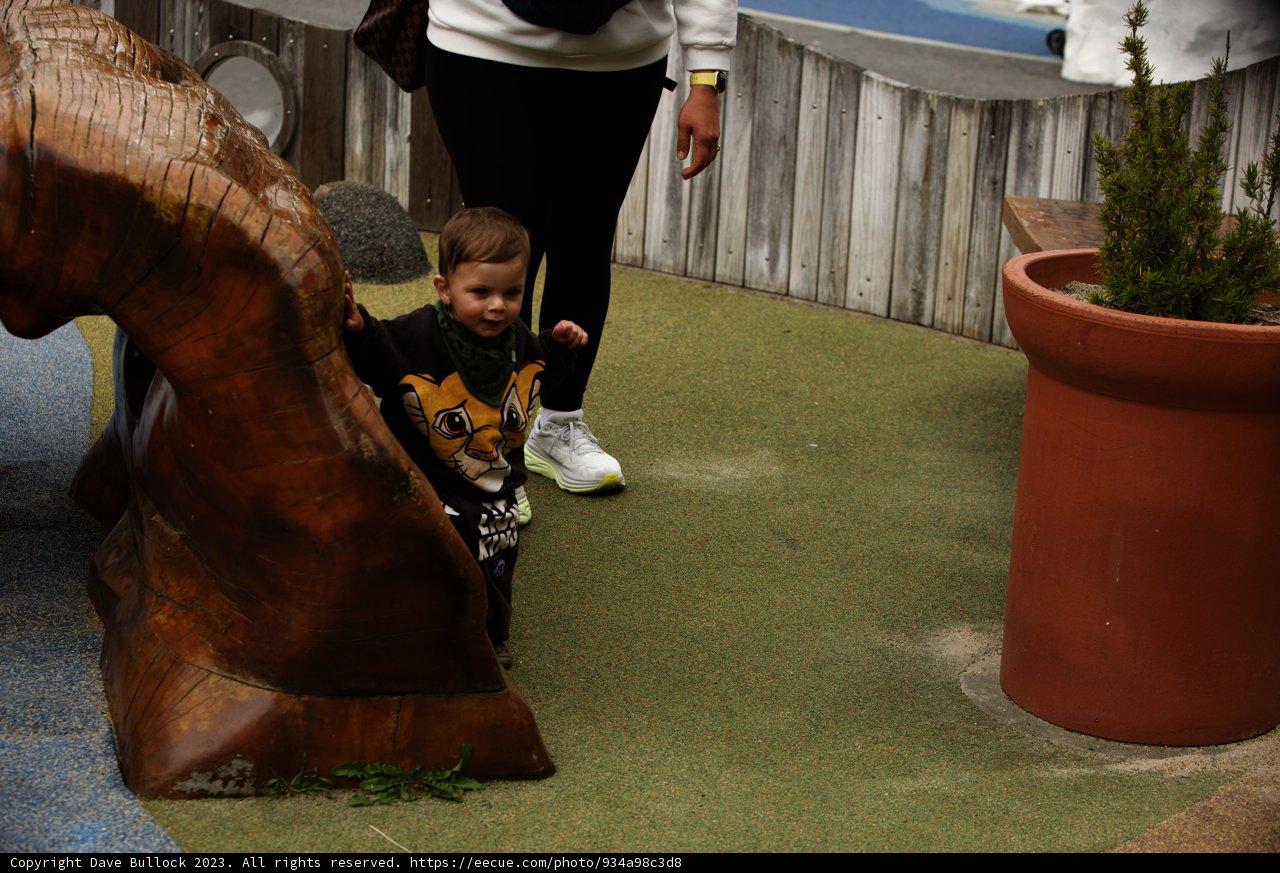 Artistic Adventures at the San Francisco Zoo