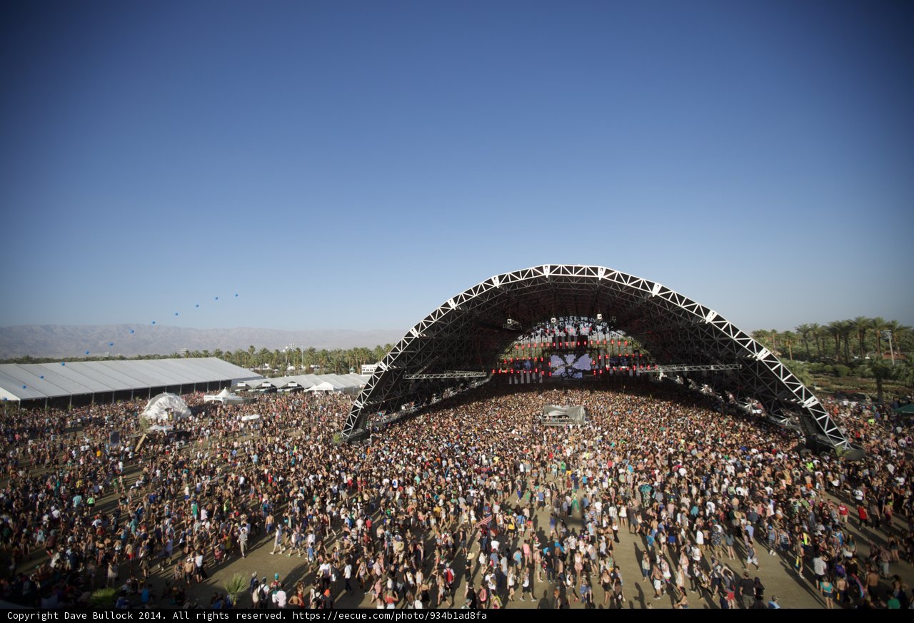 Music Festival Madness
