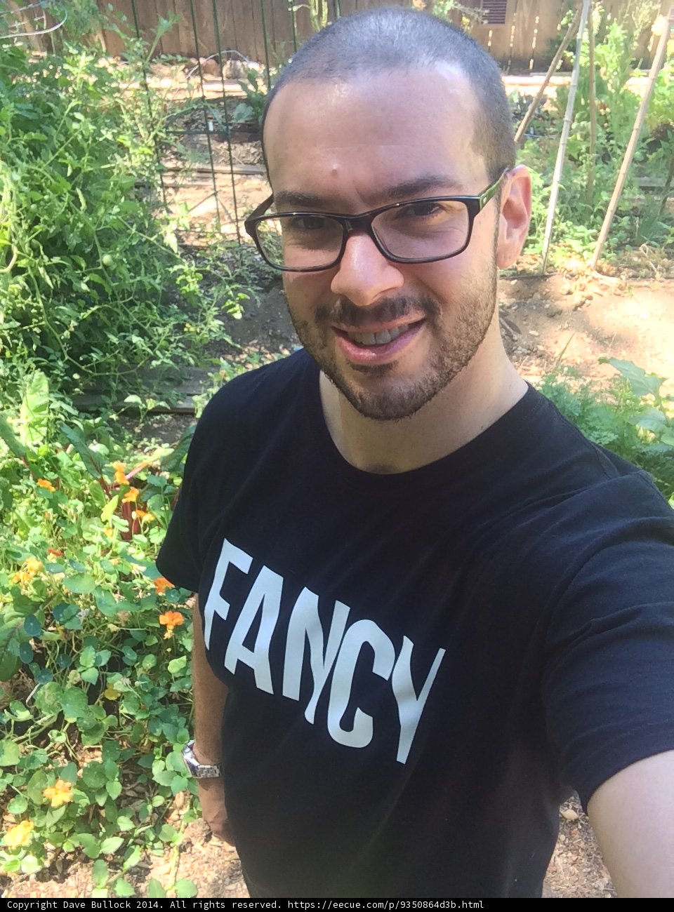 Fancy Dave B in His Backyard Oasis