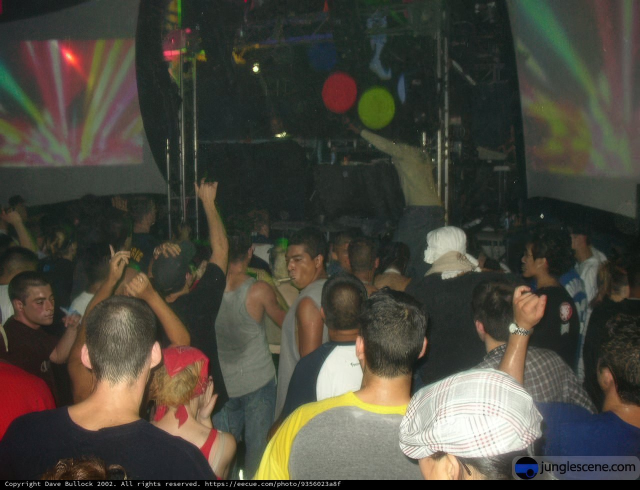 Nightlife Chaos