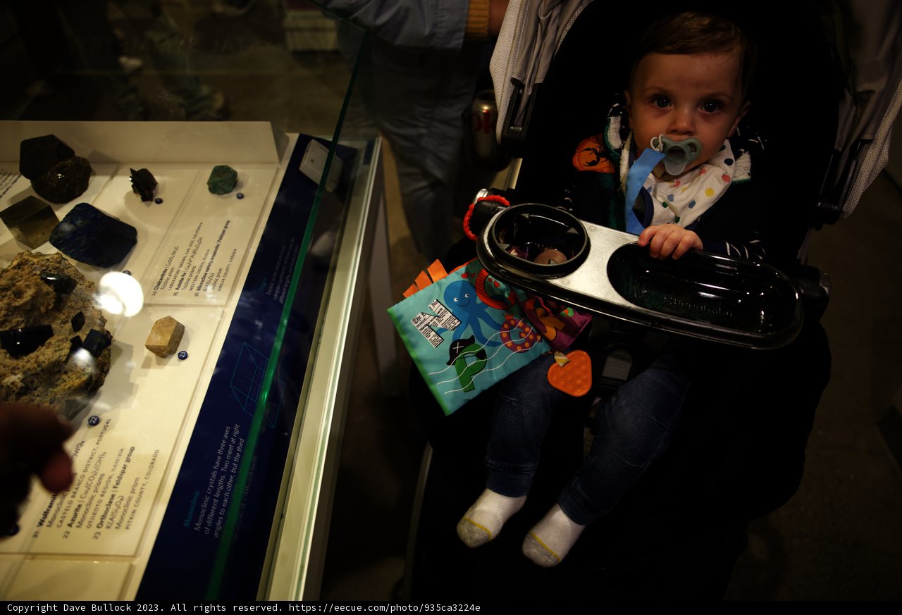 Curious Baby Discovers the World of Rocks