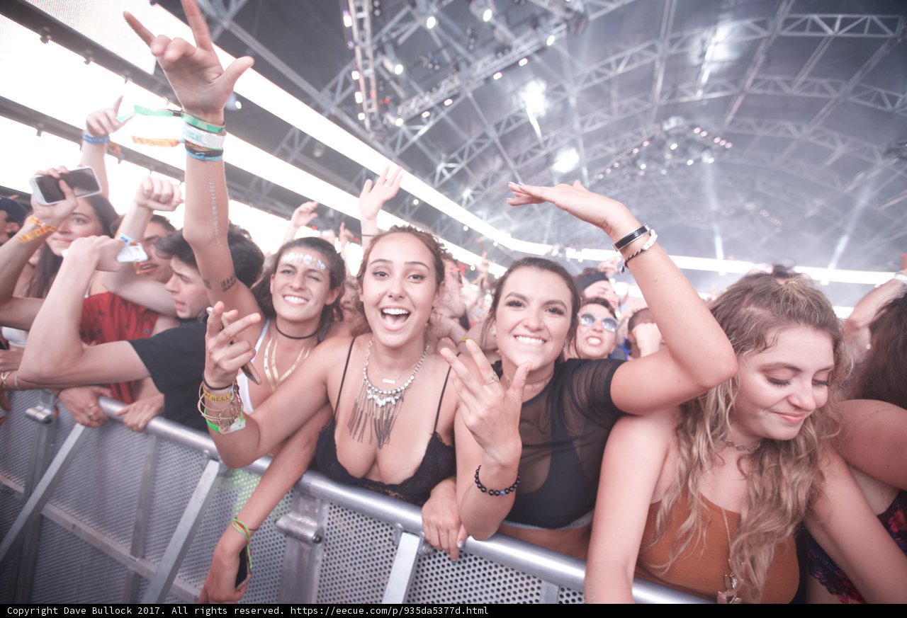 Party in the Crowd