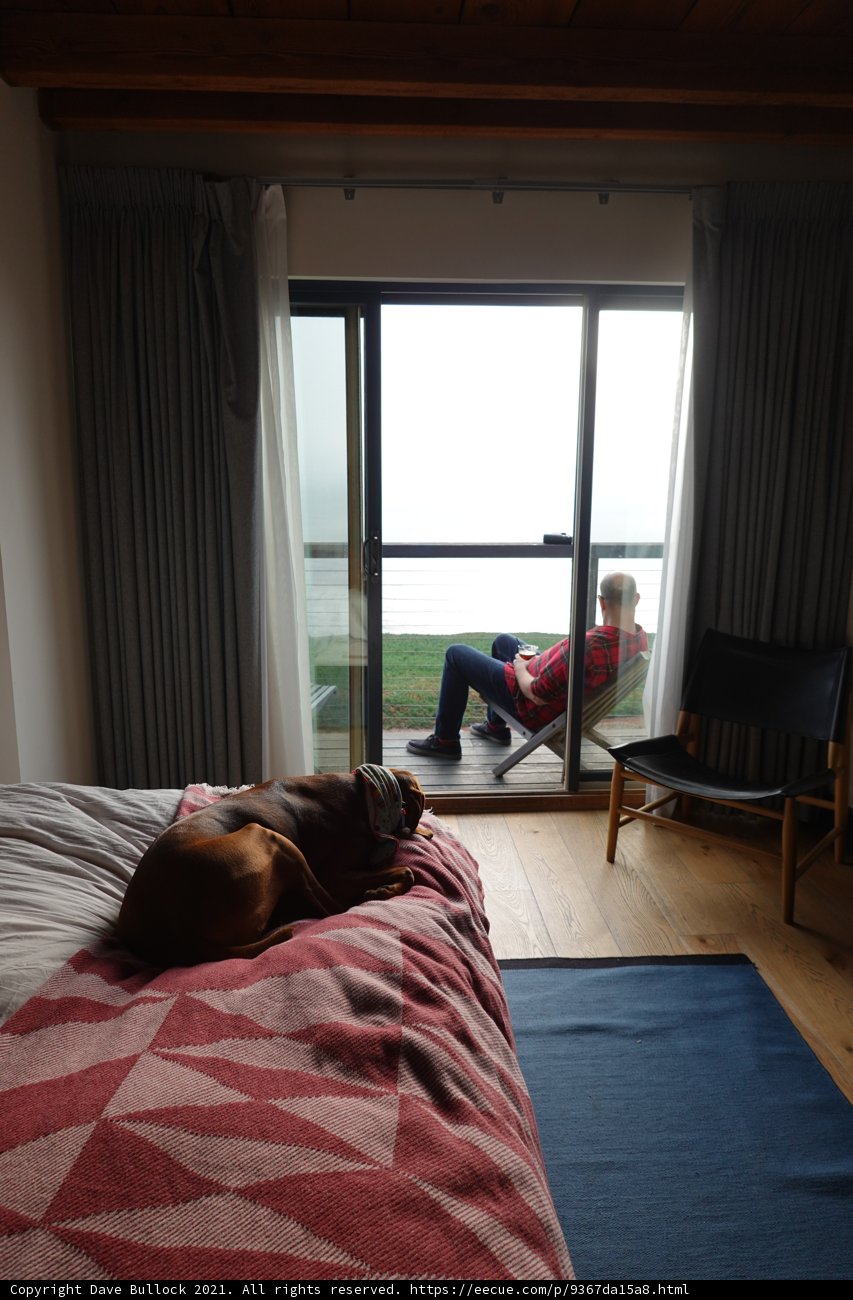 A Man's Best Friend