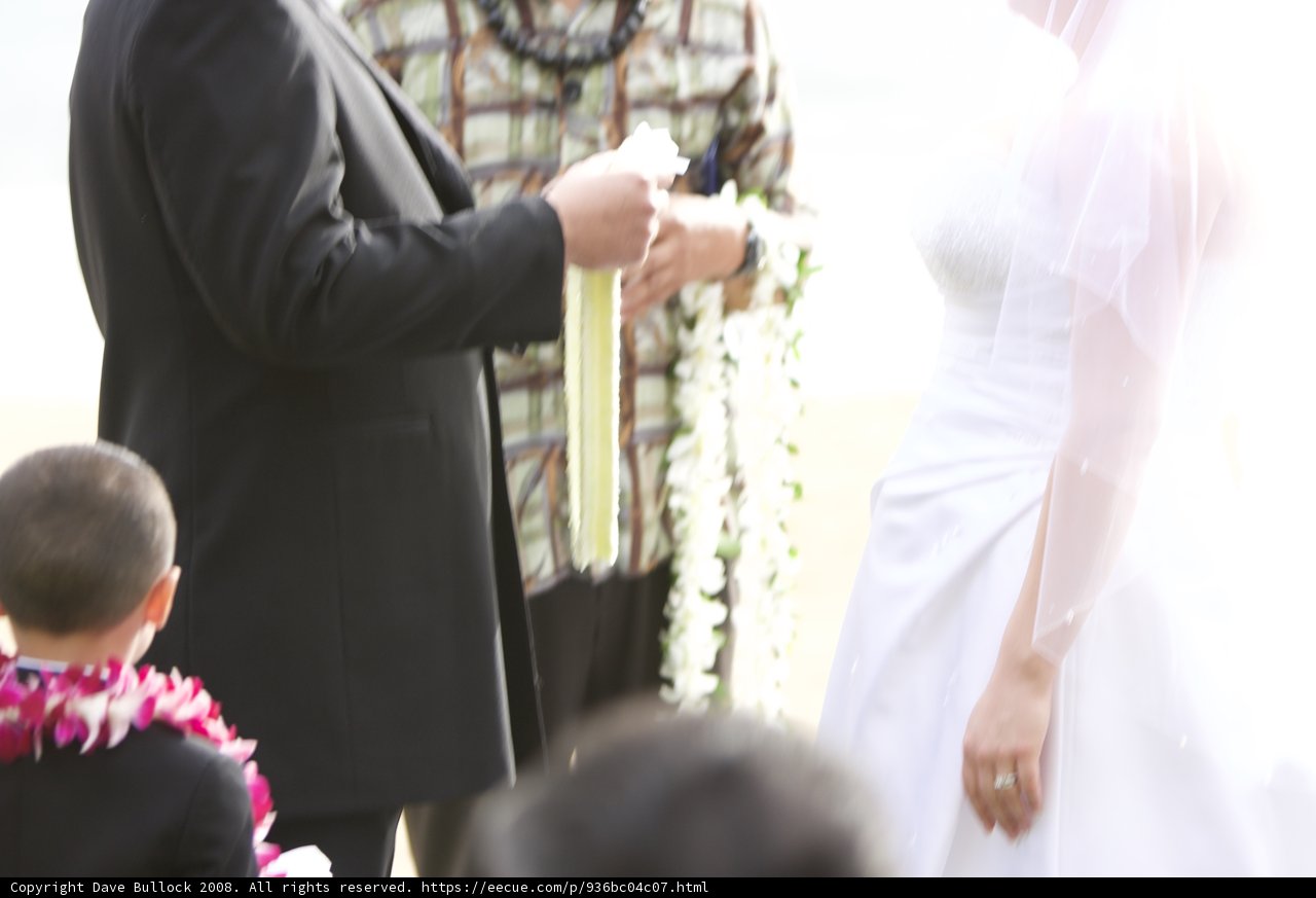 A Hawaiian Wedding Celebration