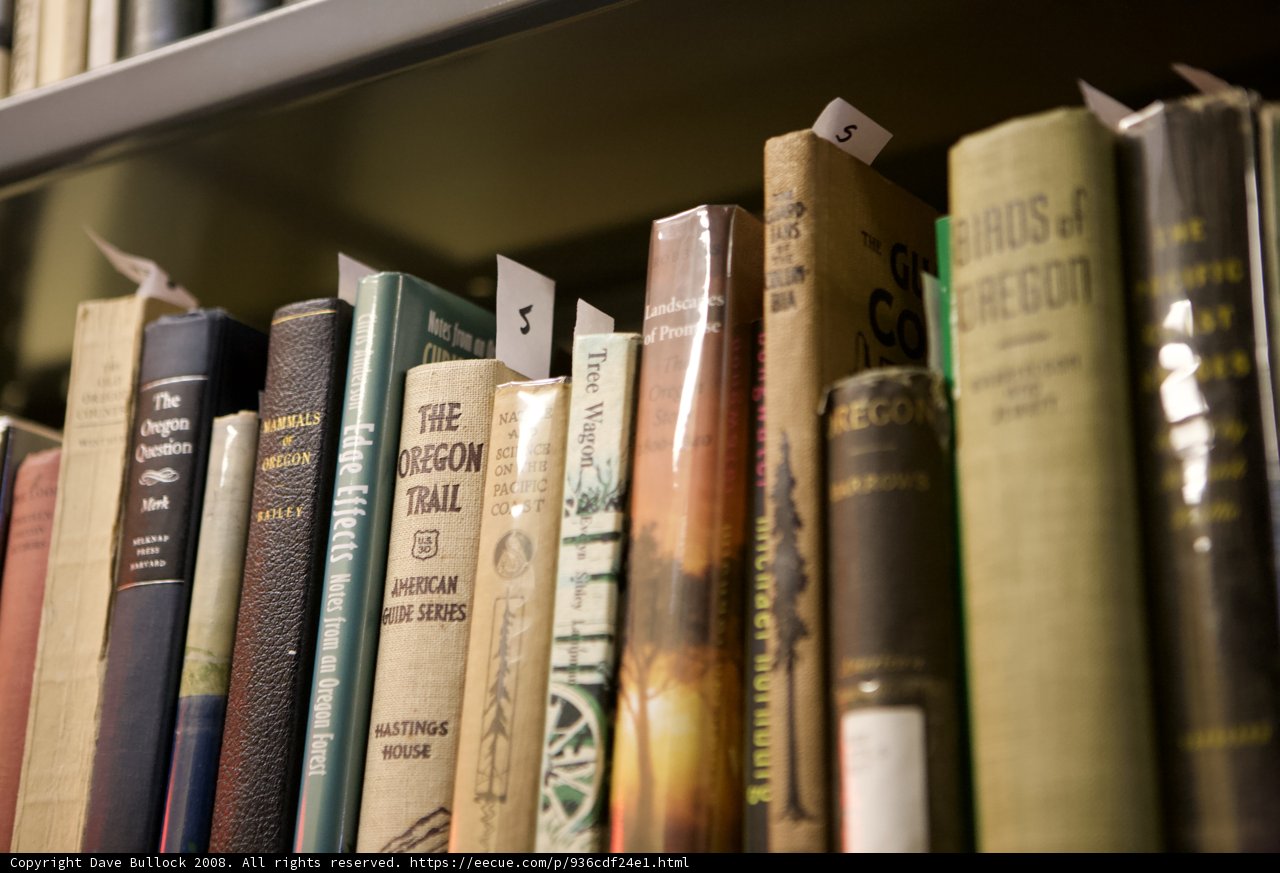 A Serene View of Books in the Archive Hall