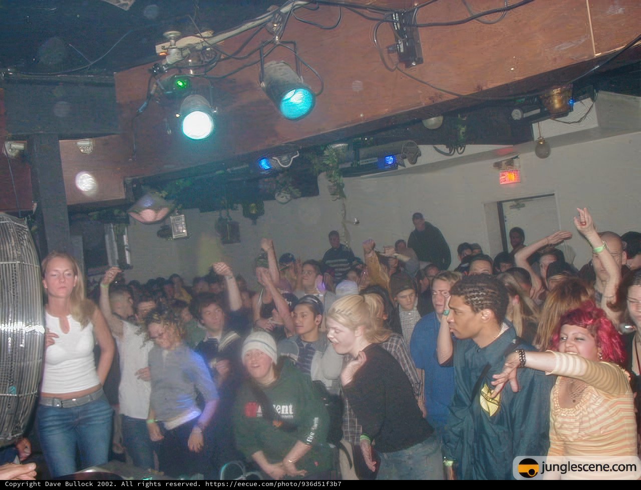 Nightlife at Its Finest