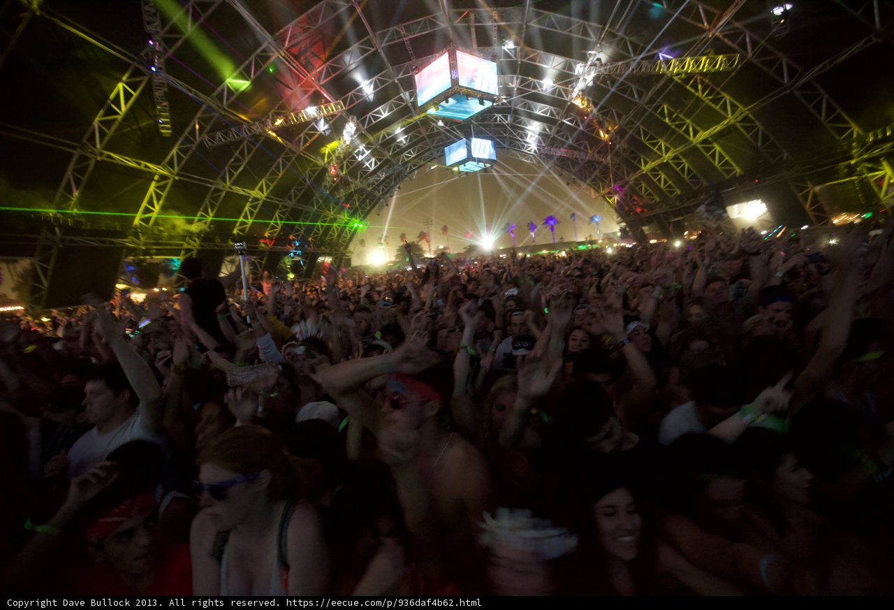 Coachella Nights