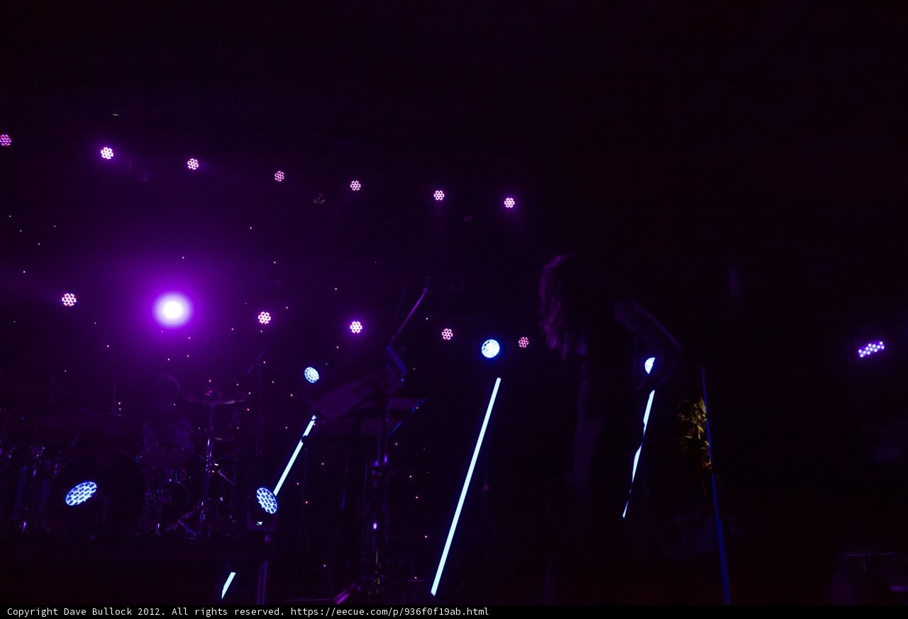 Purple Haze