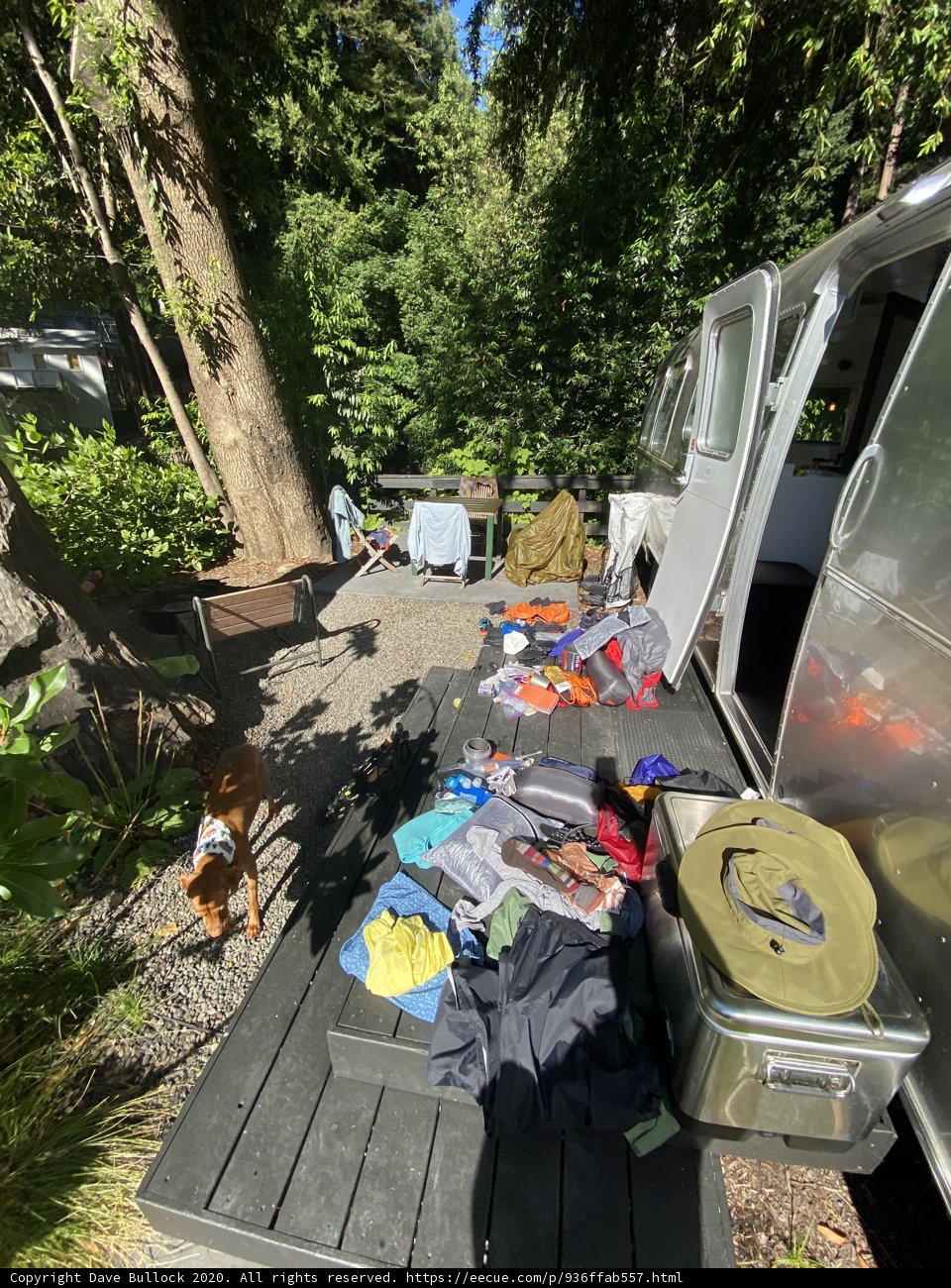 Airstream Camper Retreat in the Woodland Grove