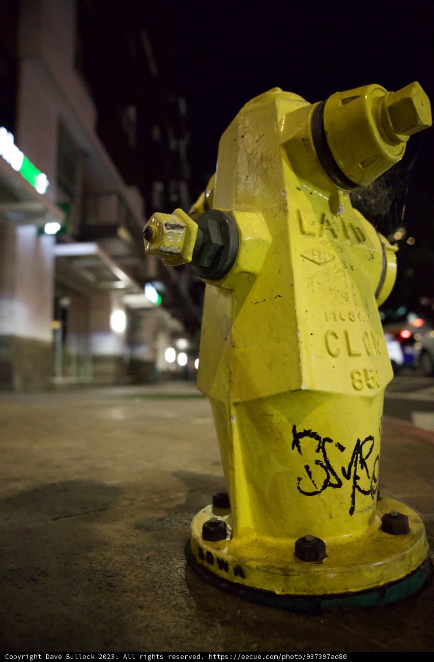 Urban Charm: Graffitied Hydrant