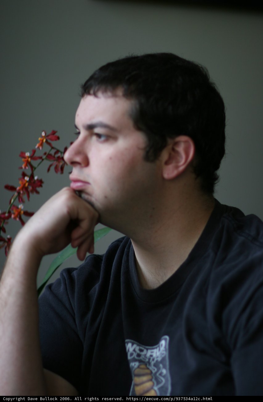 Pensive Portrait