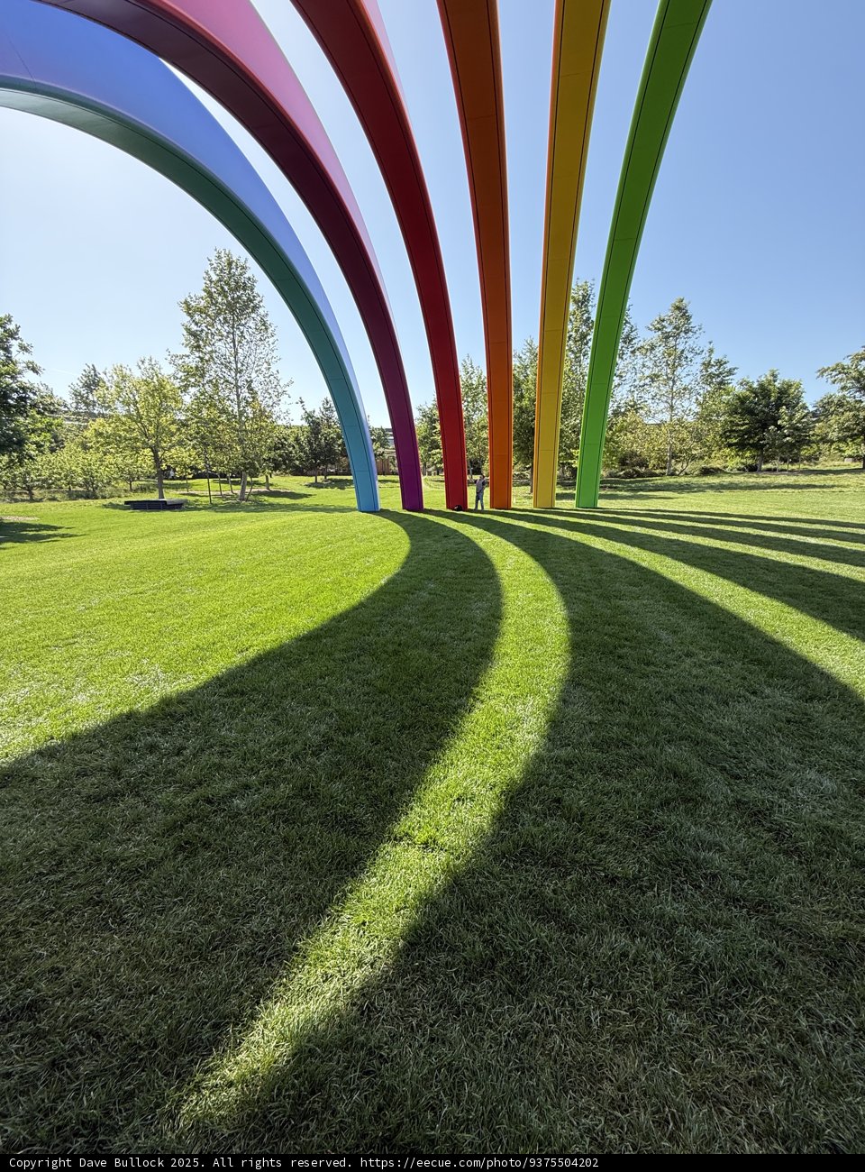 **Curves of Color in Cupertino**