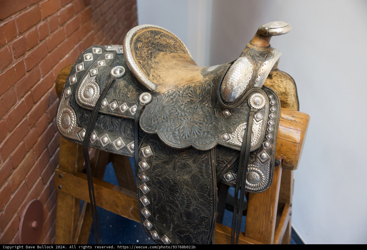 Majestic Black & Silver Saddle Display