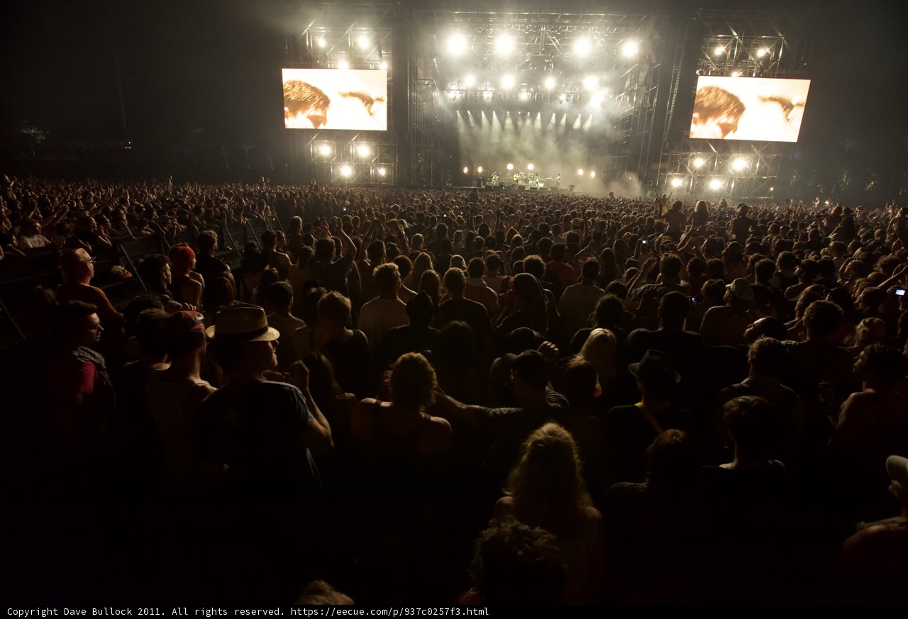 A Sea of Lights and Fans