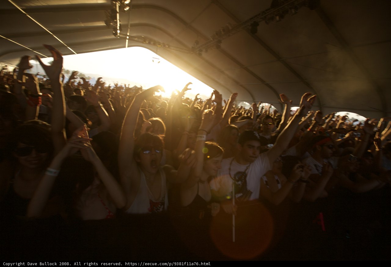 Coachella Crowd Goes Wild