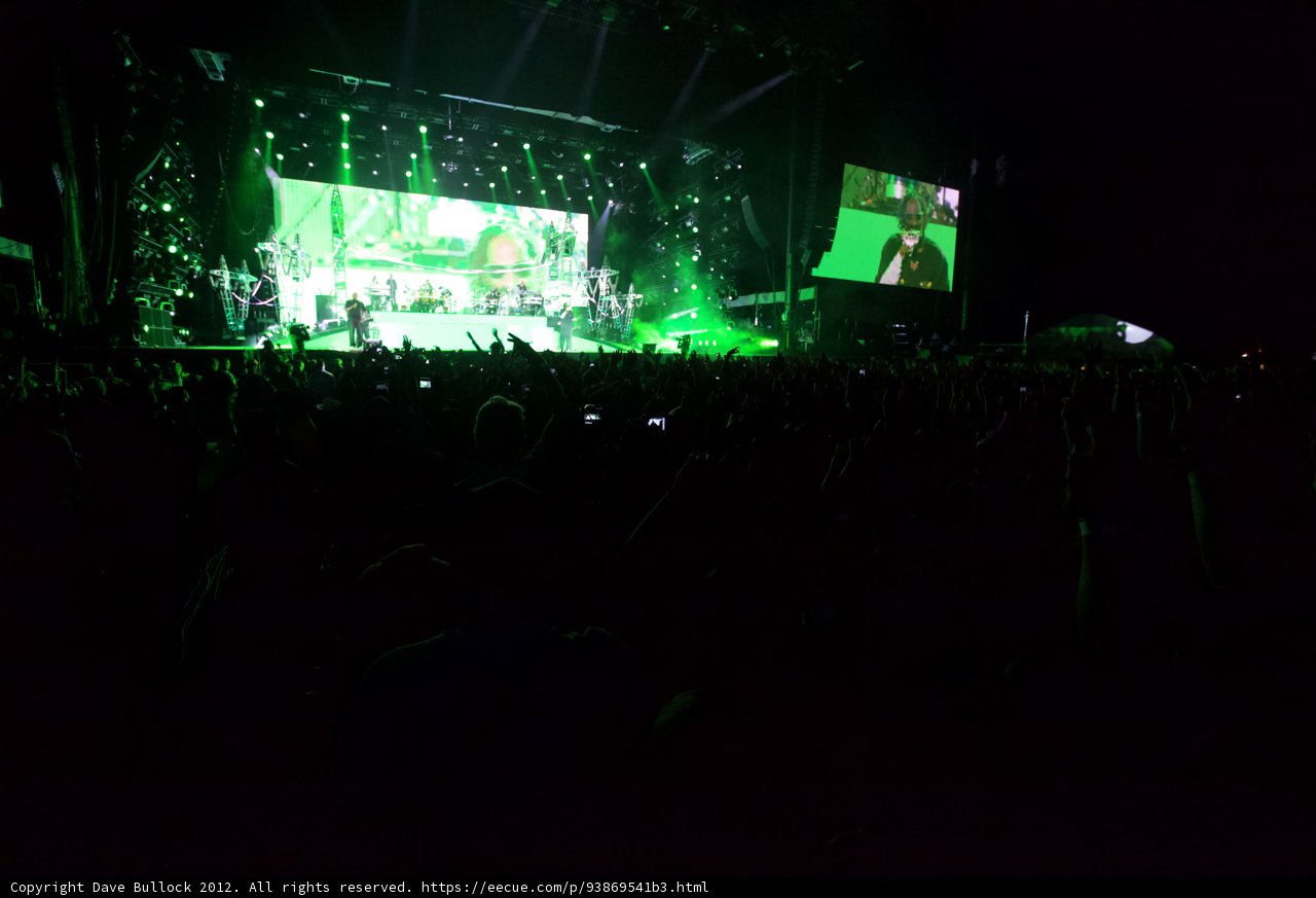 Green Spotlight on Concert Crowd