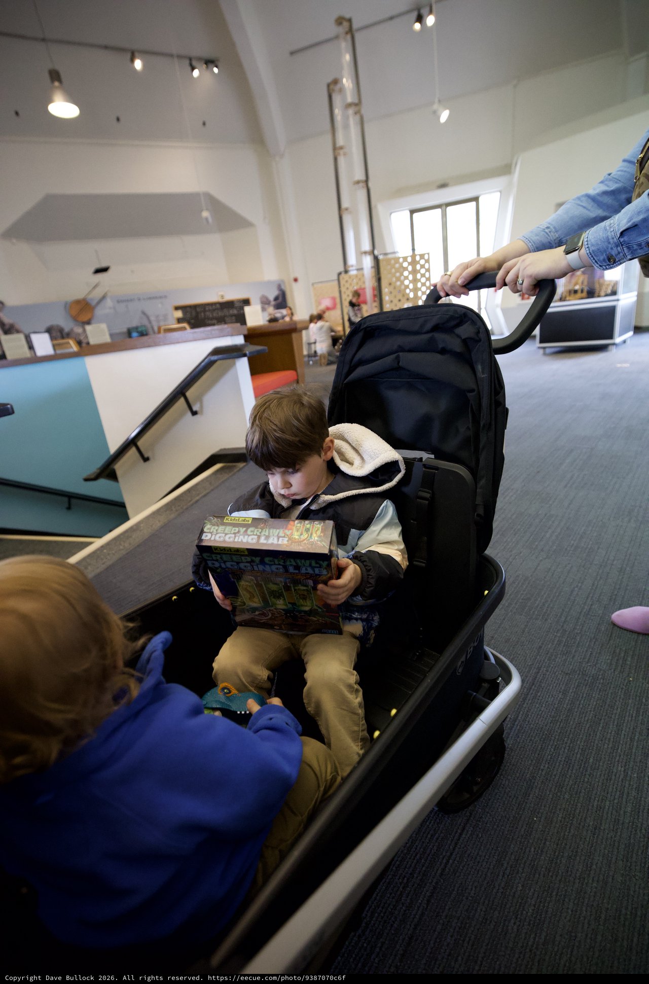 Young Reader in Adaptive Stroller at Community Center