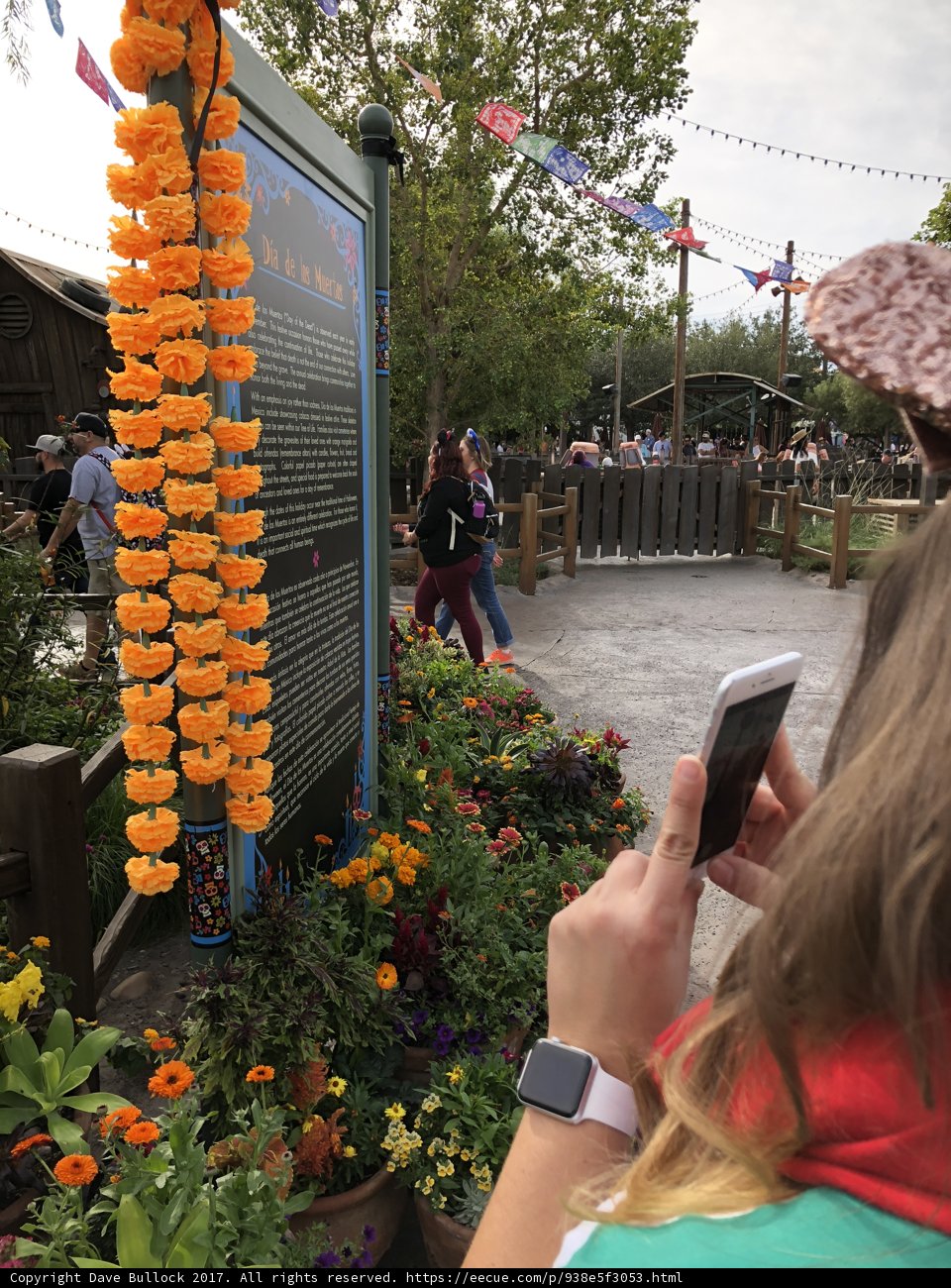 Orange Blossoms and Garden Sign