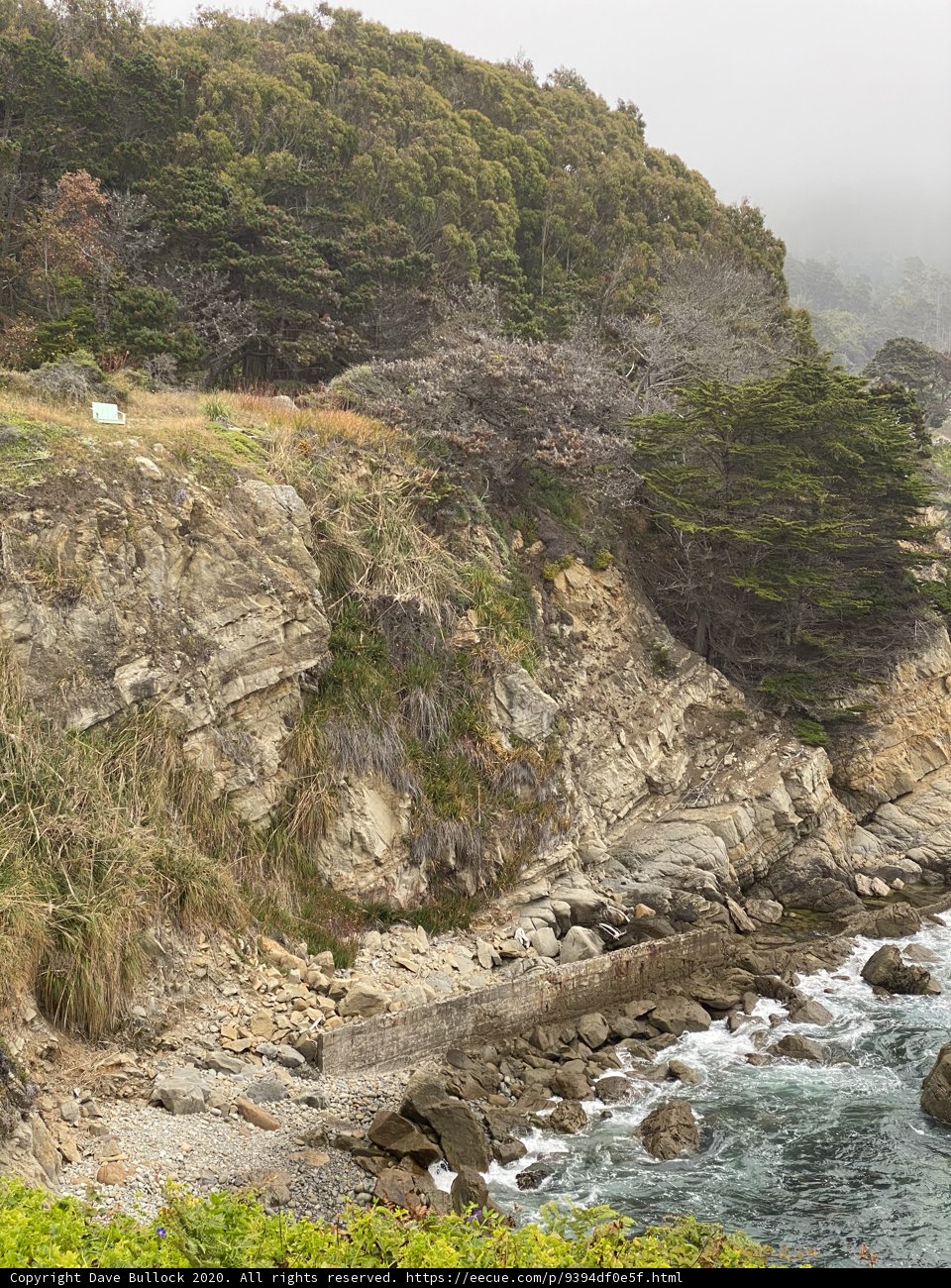 Misty Cliffside Serenity