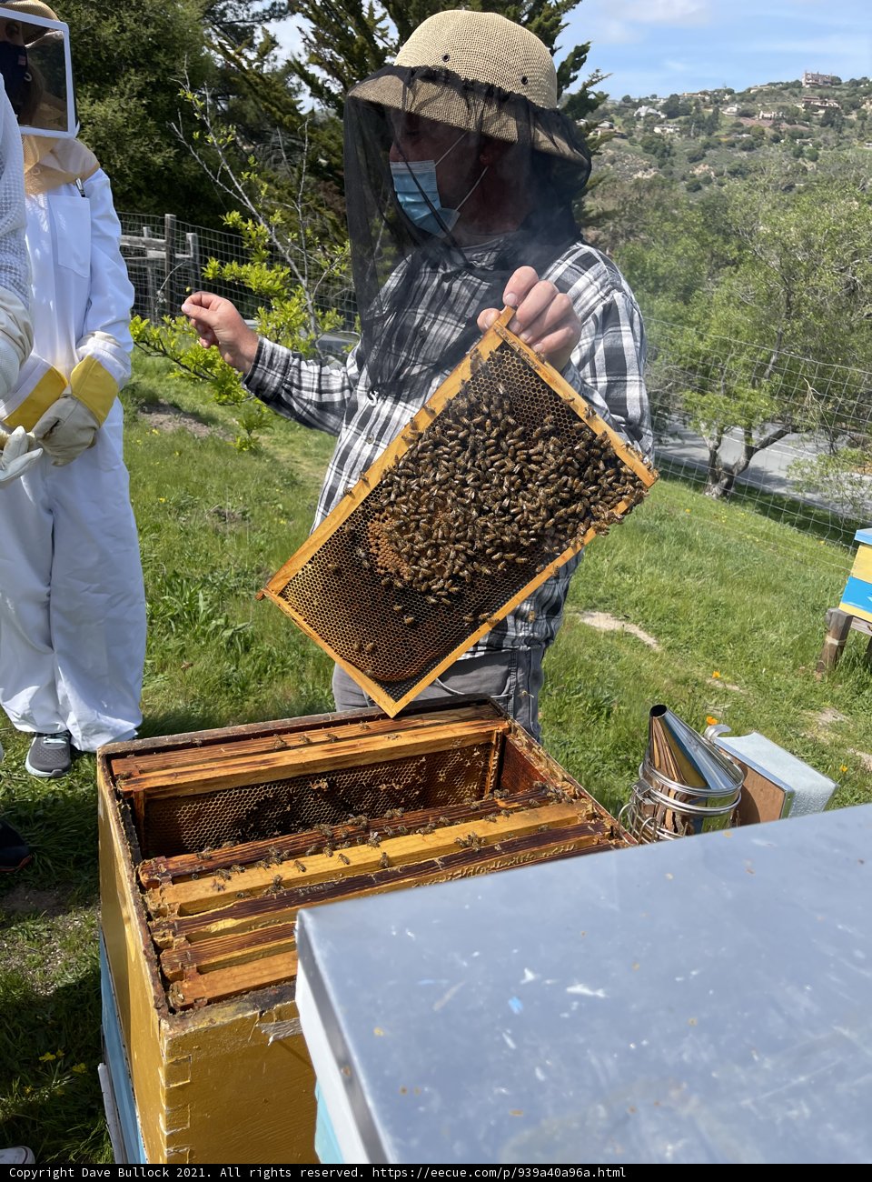 Beekeeper in the Field