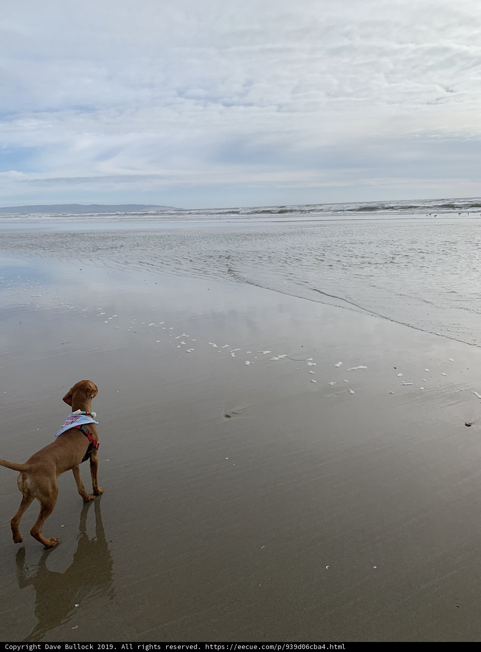 Beach Bum