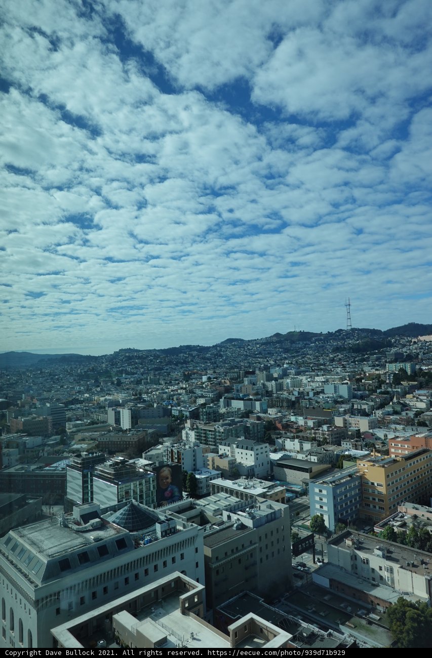 The Urban Skyline