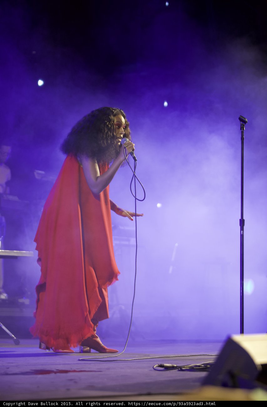 Solange Hand Extended Gracefully Wide Stage Red Dress Purple