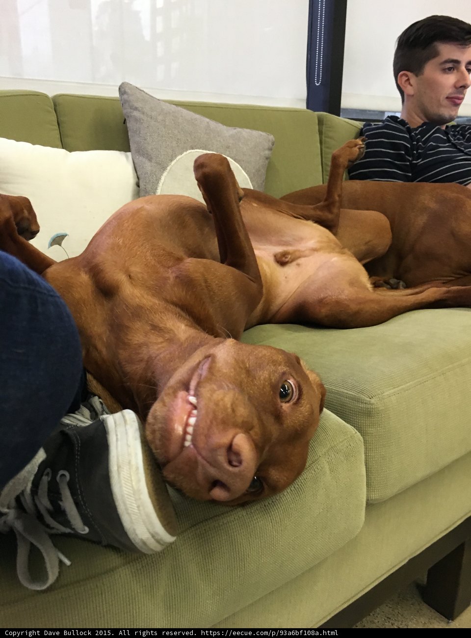 Couch Potato