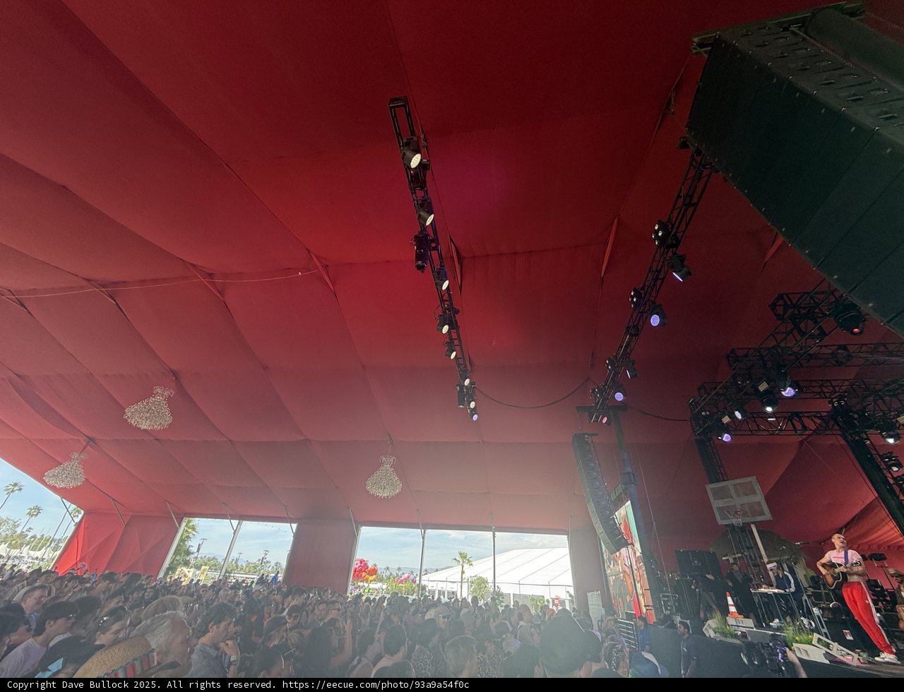 Rhythms Under the Red Canopy