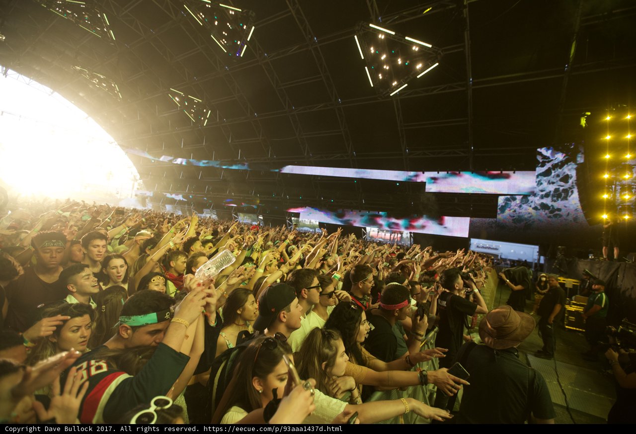 Crowd Goes Wild at Coachella