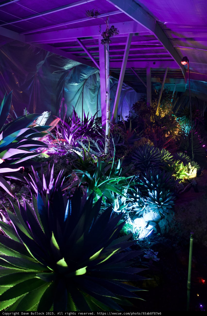 Enchanted Night in the Garden of D'Lights